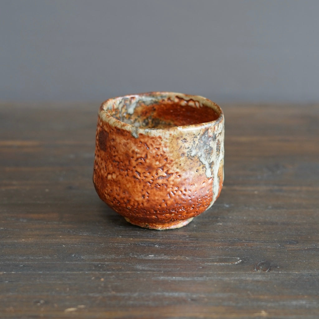 Wood Fired Tea Bowl #FQ724B