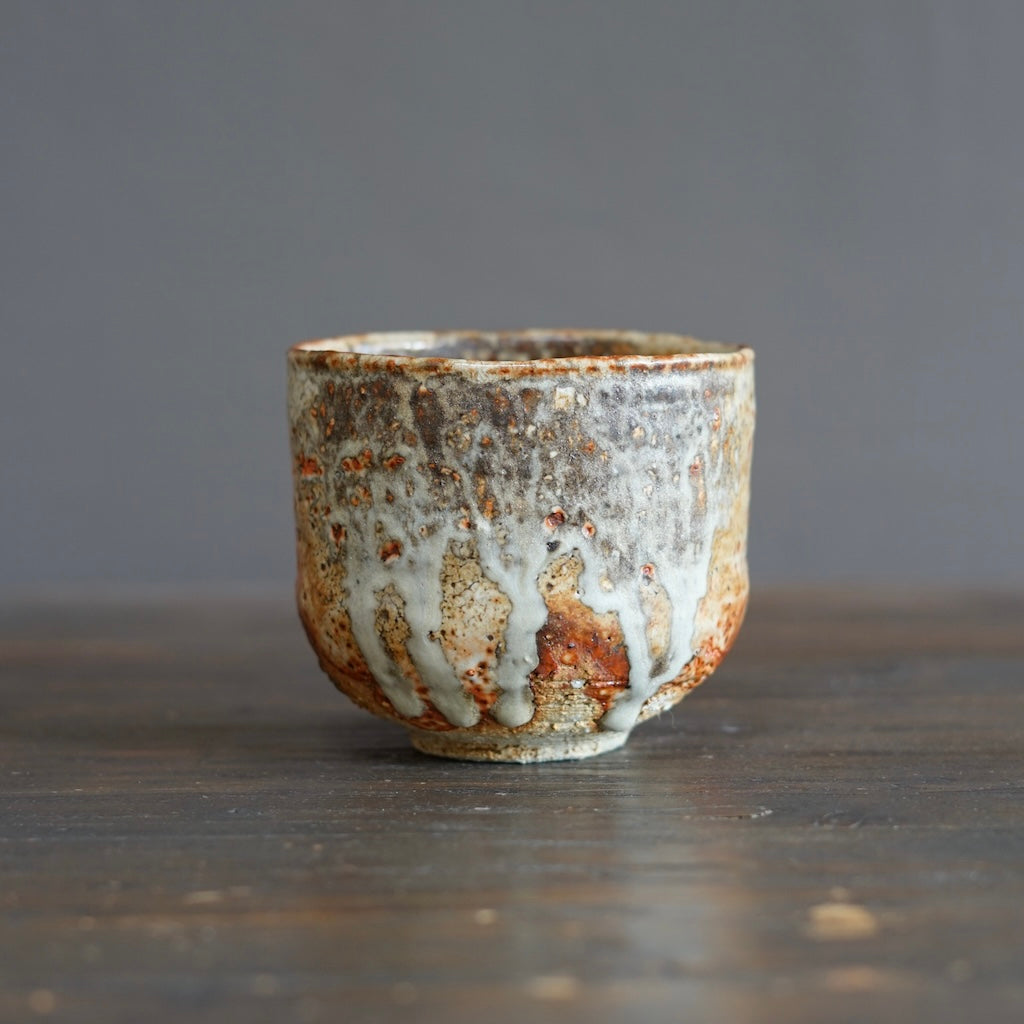 Wood Fired Tea Bowl #FQ724C