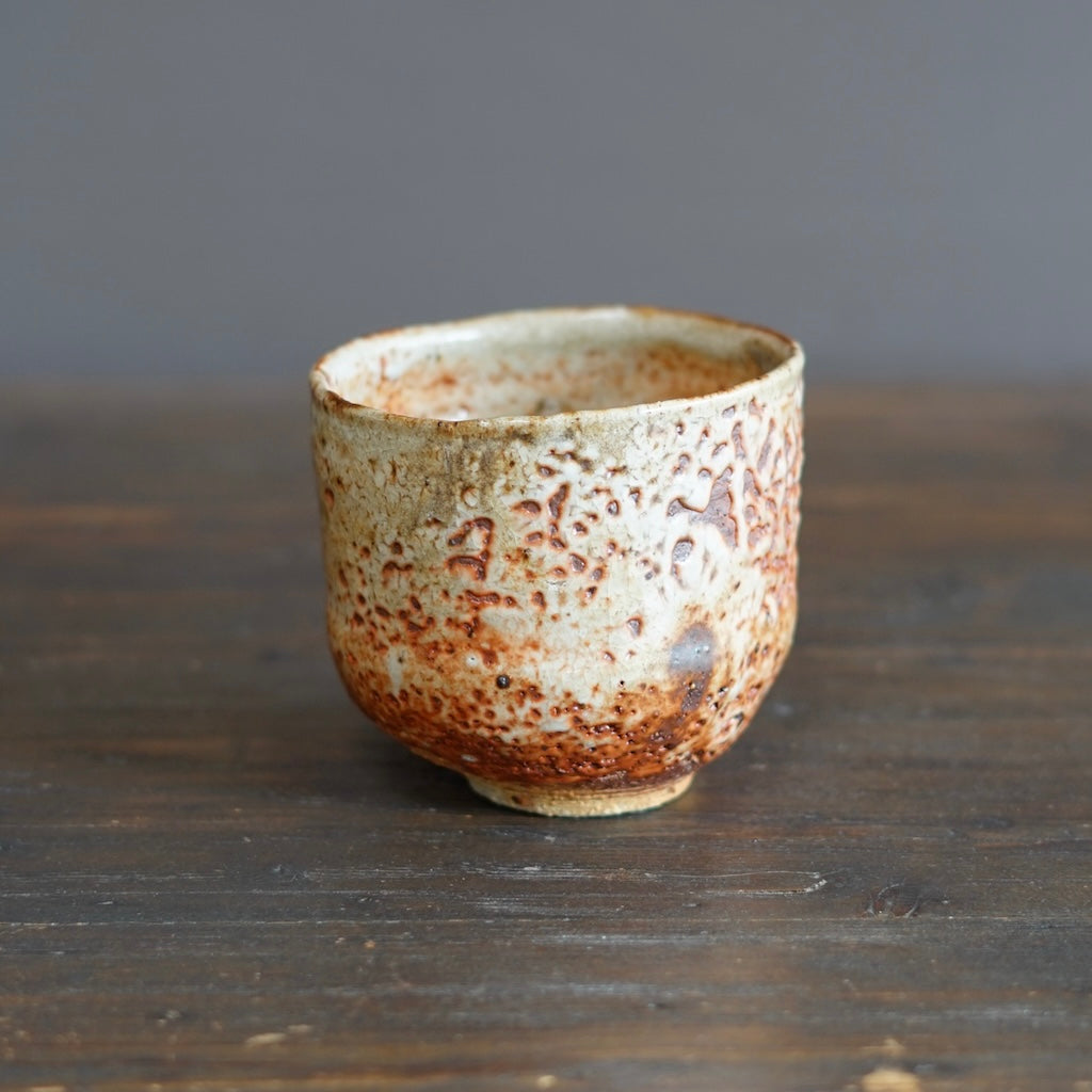 Wood Fired Tea Bowl #FQ724C