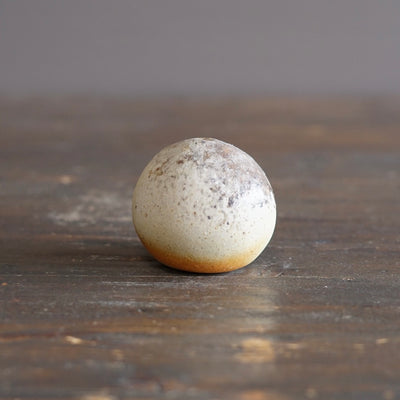 Wood Fired Seed Pod Bud Vase #KY250B