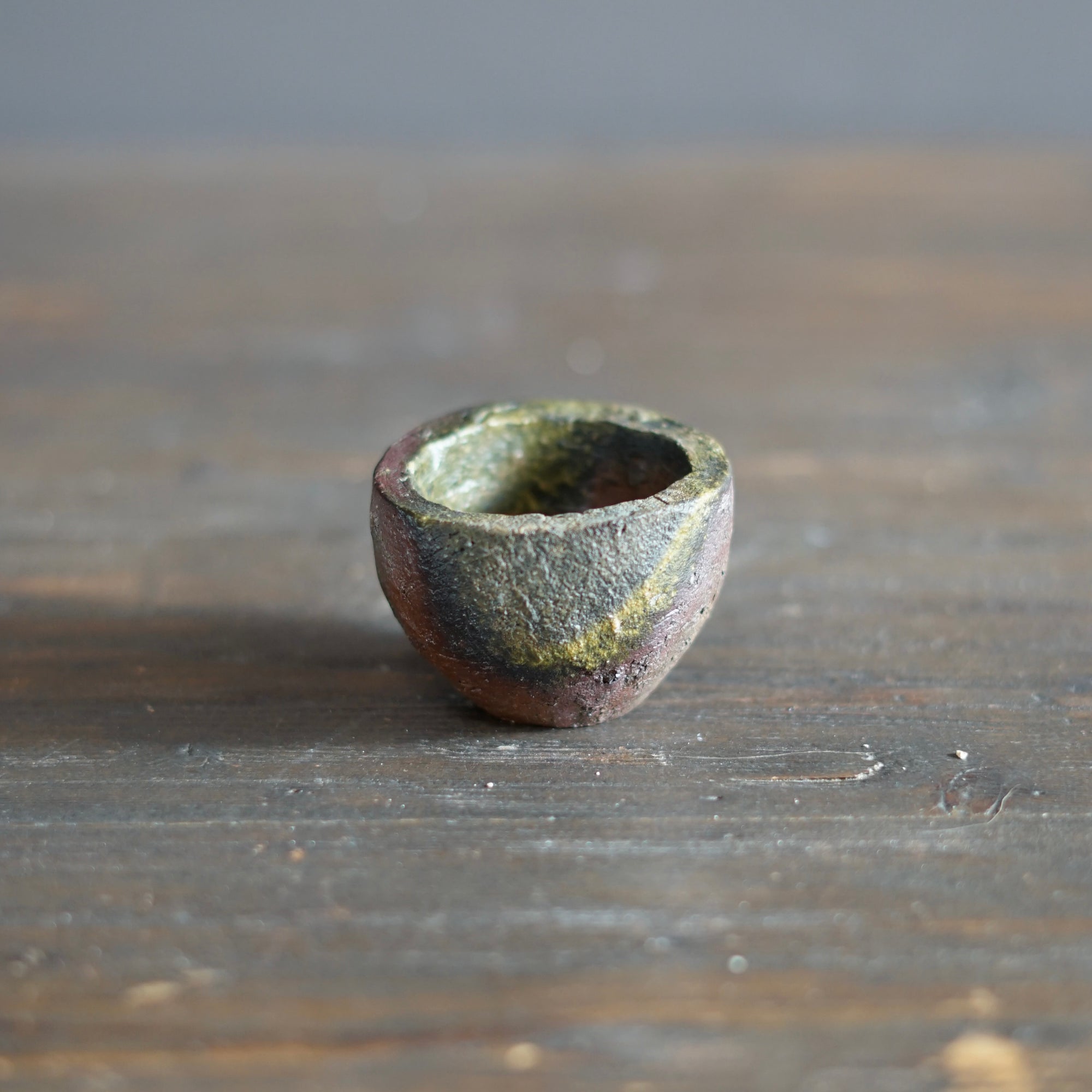 Round GUINOMI Sake Cup #TR316
