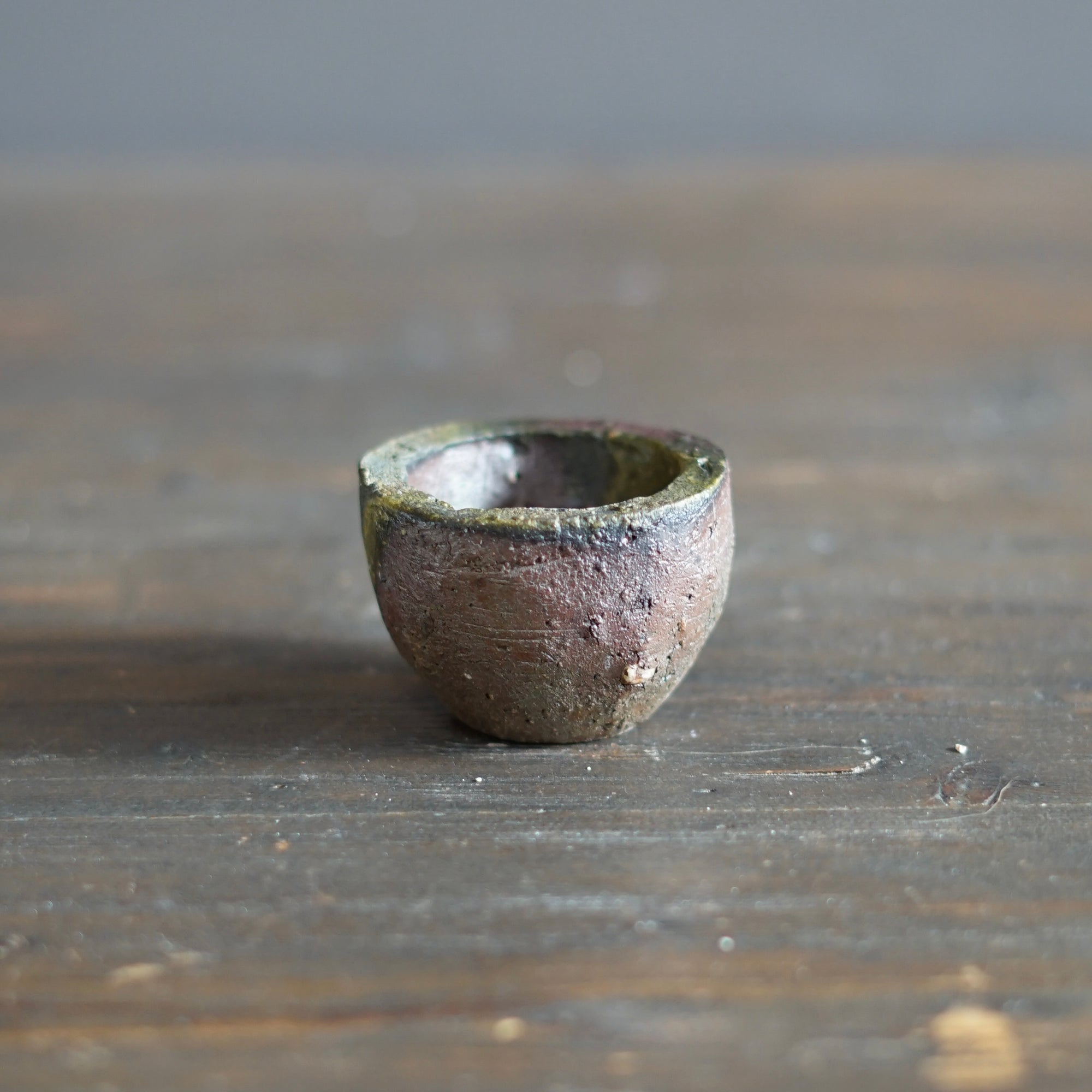 Round GUINOMI Sake Cup #TR316