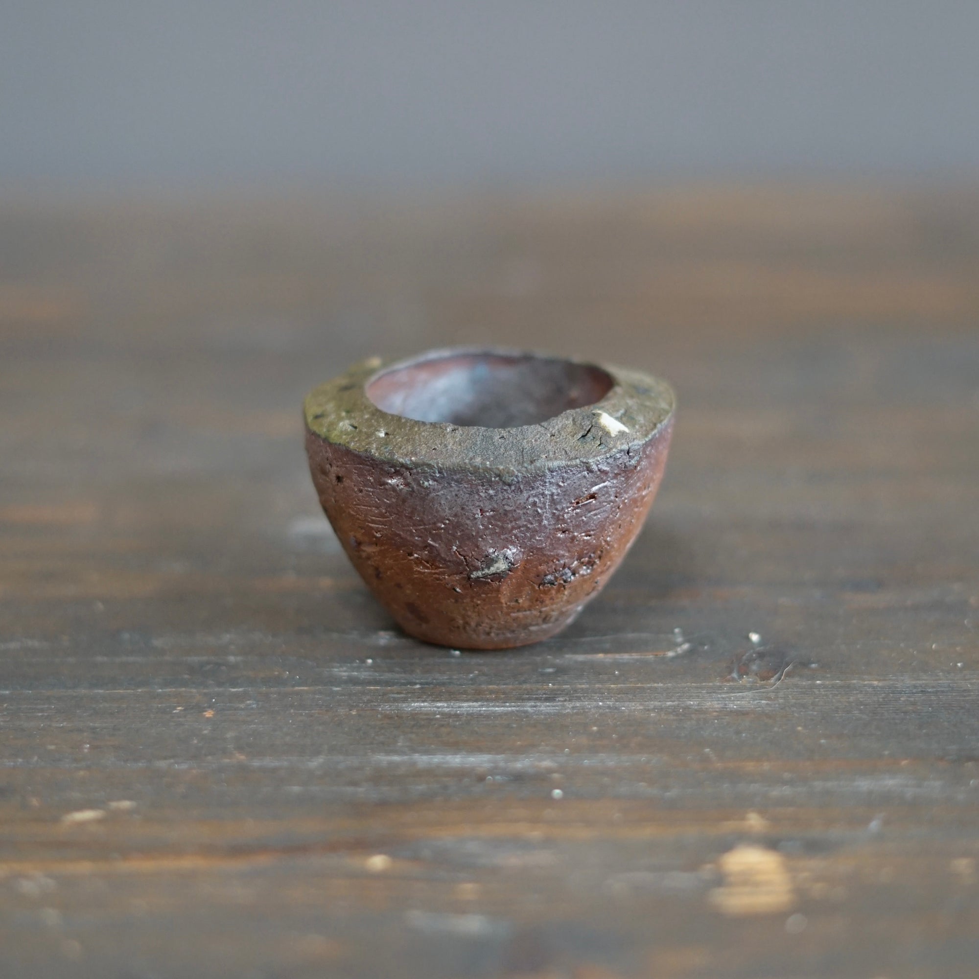 Round GUINOMI Sake Cup #TR319