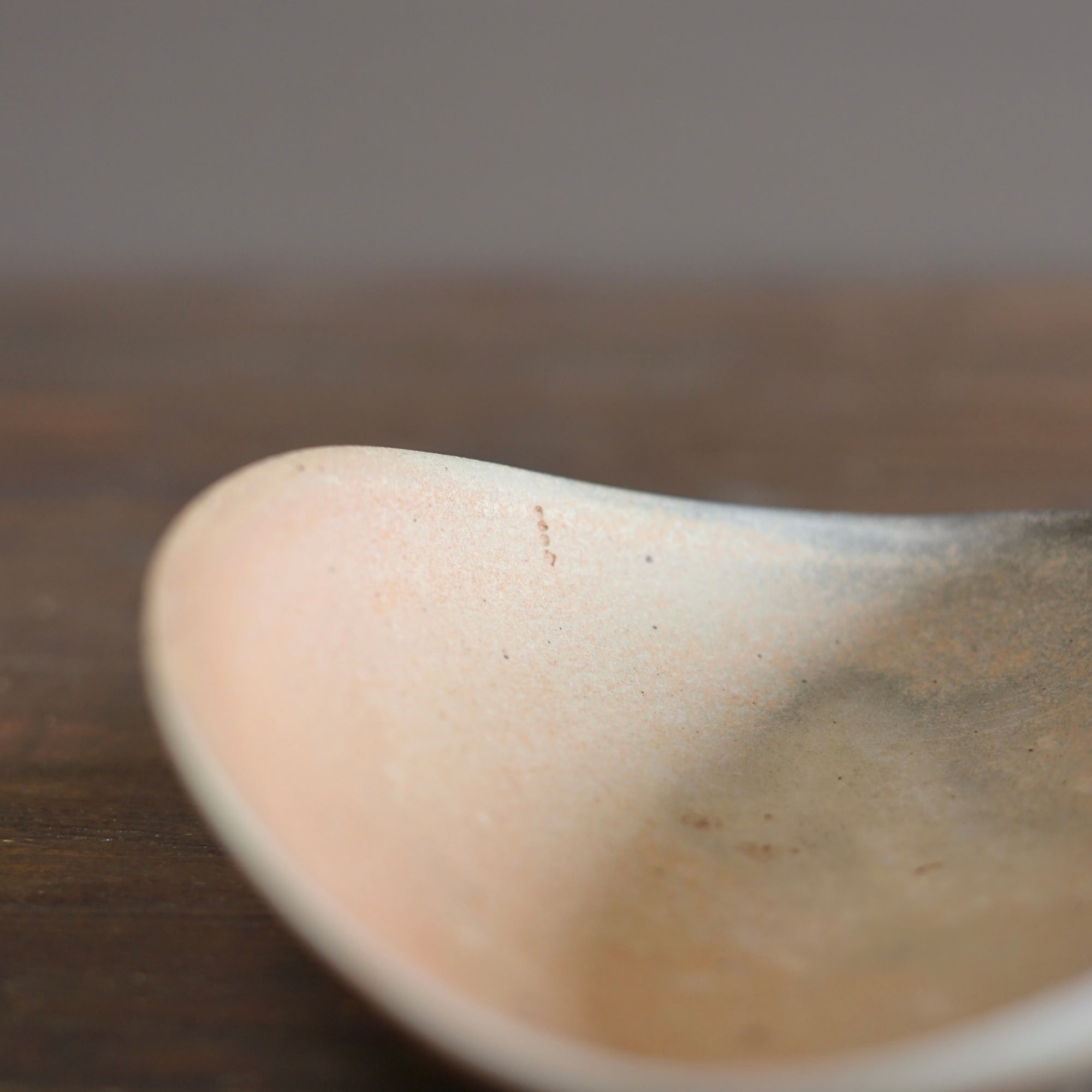 Shallow Bowl  #ZP1771