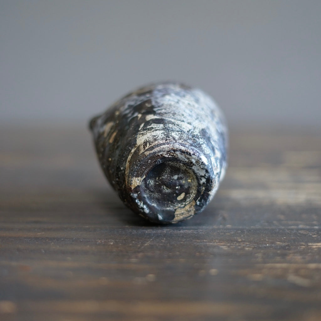 Gyokkaku Mashira Raku Spouted Bowl #AK59D