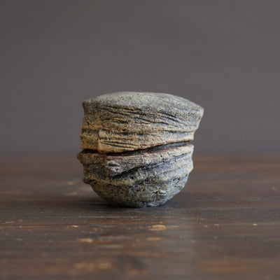 Lidded Geomorphic Form #Mi2