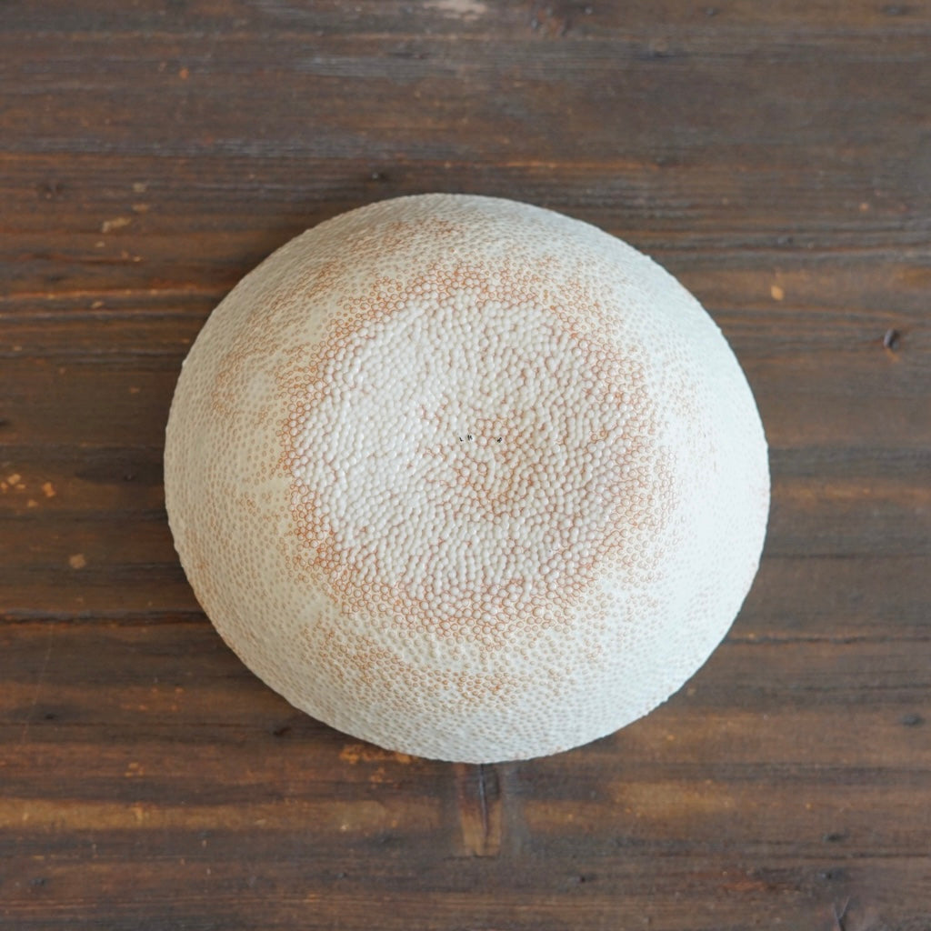White Caviar Rimmed Bowl #LK922C