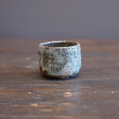 Wood Fired YUNOMI Tea Cup #FQ776C