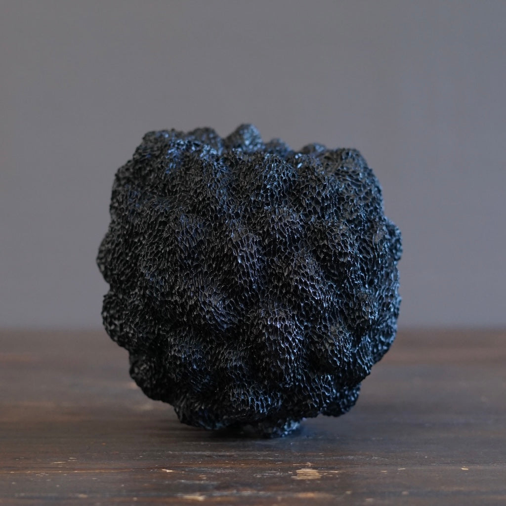Black Sea Urchin#LK901