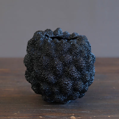 Black Sea Urchin#LK901