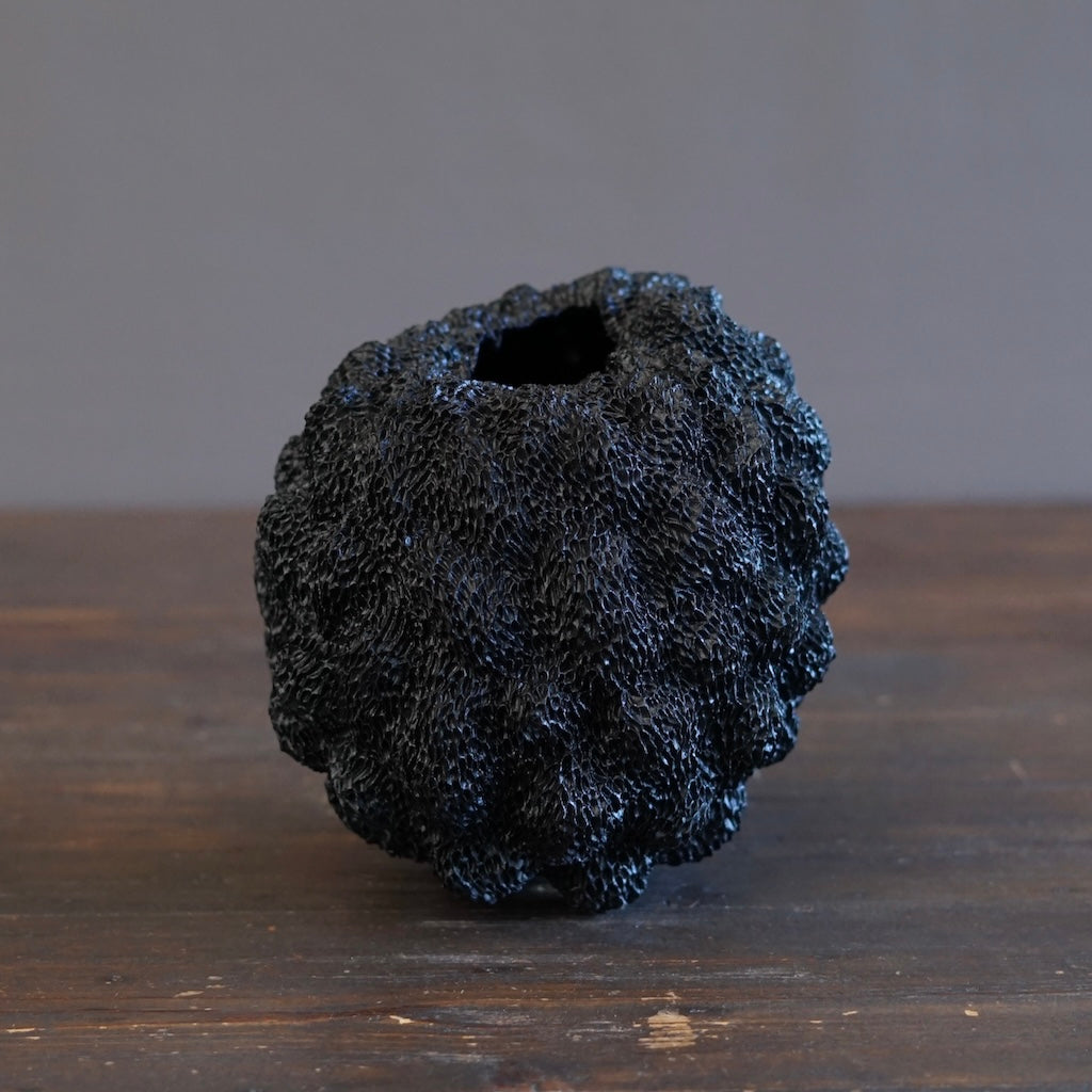 Black Sea Urchin#LK901