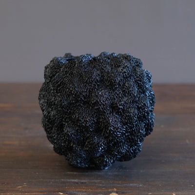 Black Sea Urchin#LK901