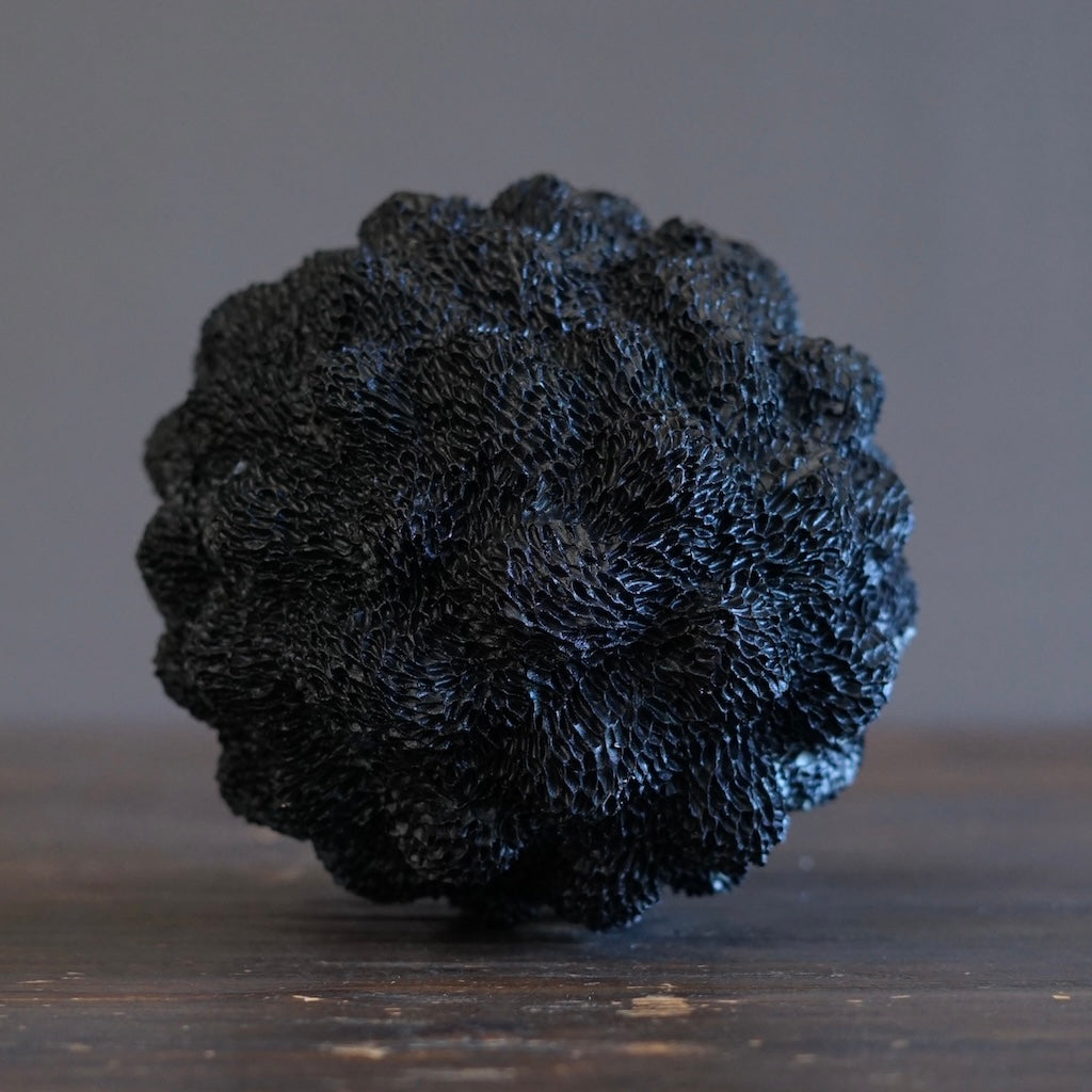 Black Sea Urchin#LK901