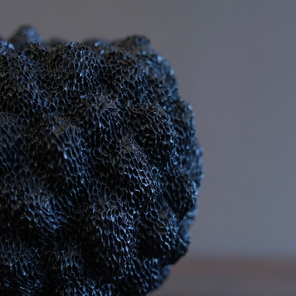 Black Sea Urchin#LK901