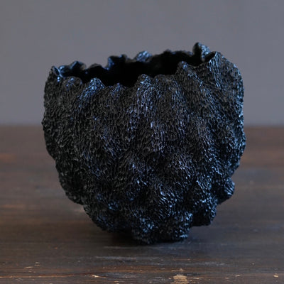 Black Sea Urchin #LK900