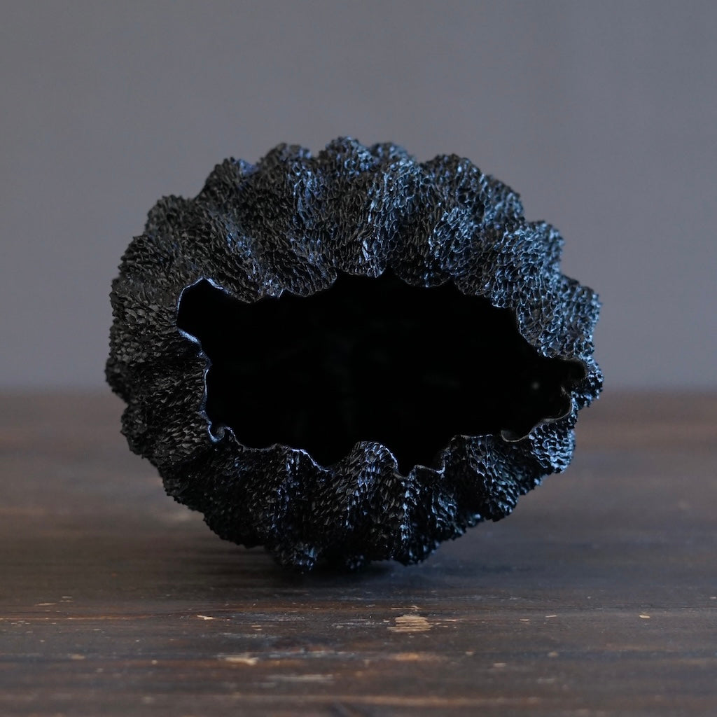 Black Sea Urchin #LK900