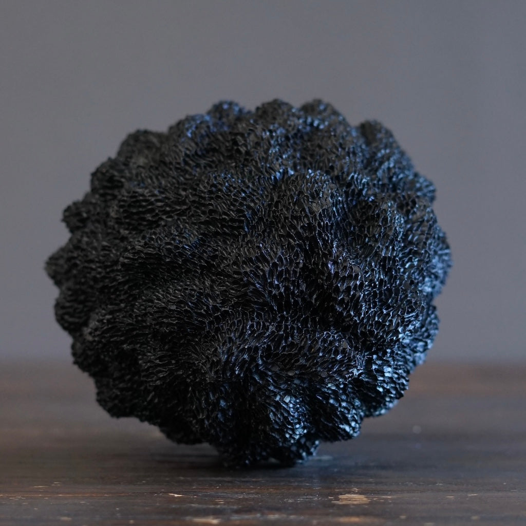 Black Sea Urchin #LK900