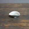 Ceramic Sculpture / Small Dish #ZP1576