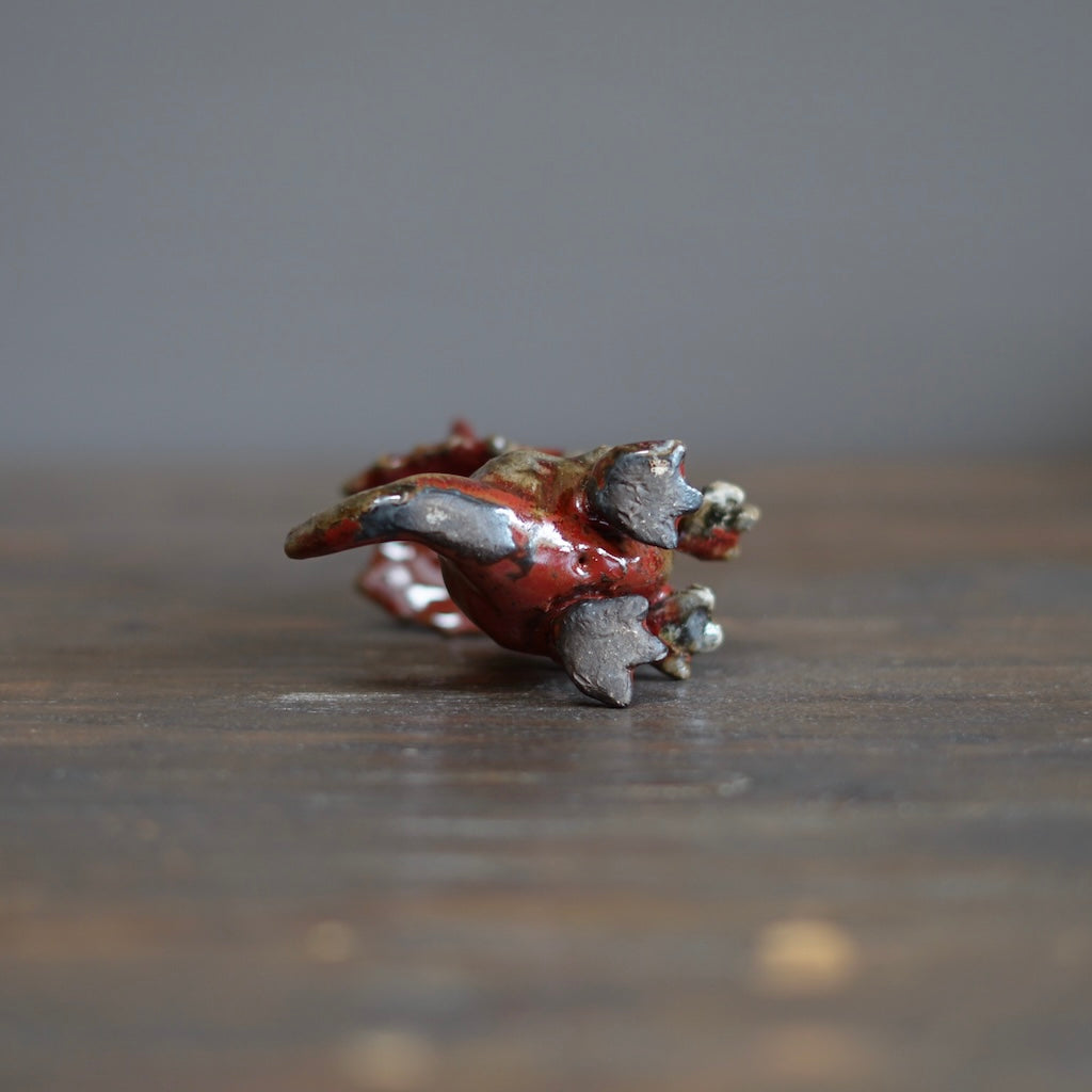 Juvenile Triceratops #SY508