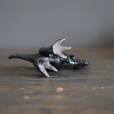 T-Rex #SY514