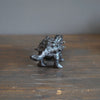 Ankylosaurus #SY515
