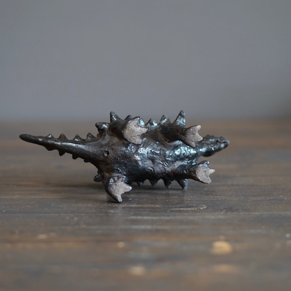 Juvenile Nodosaurus #SY517