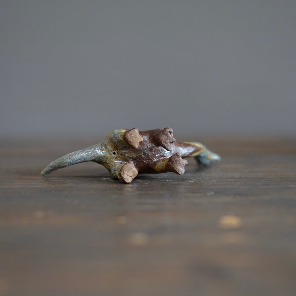 Juvenile Apatosaurus #SY521