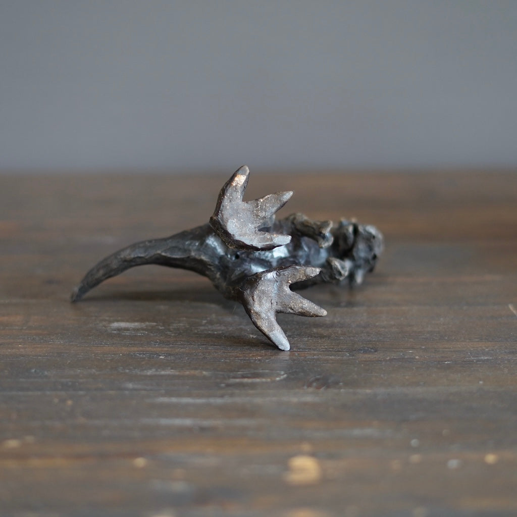 Pachycephalosaurus #SY522