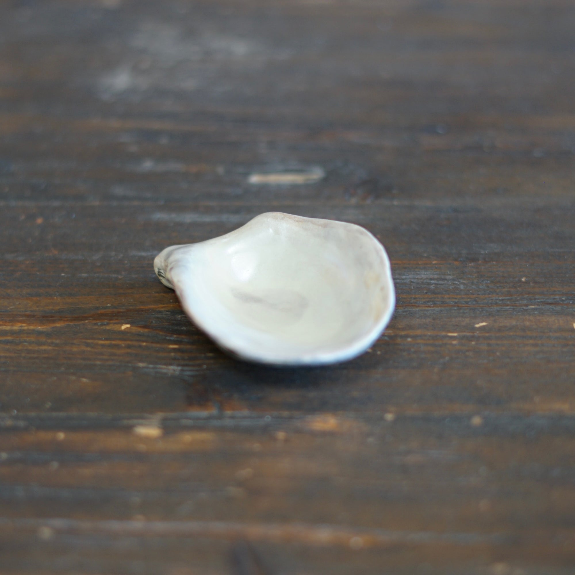 Oyster Mascot #OKA25A