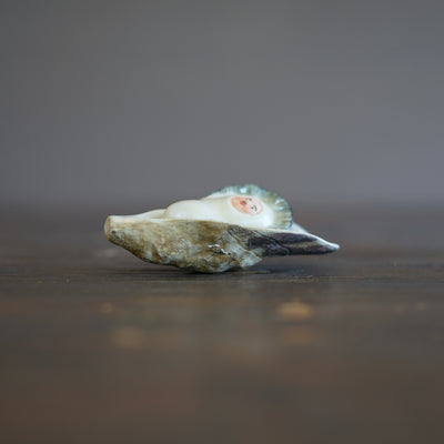 Oyster Mascot #OKA25B