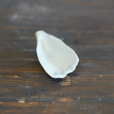 Oyster Mascot #OKA25B