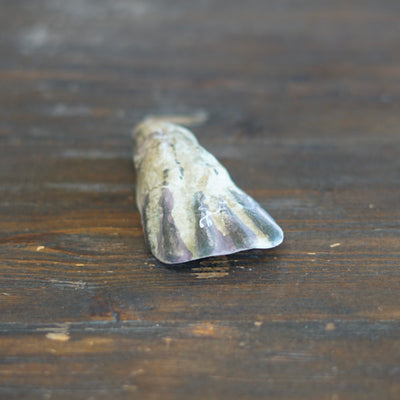 Oyster Mascot #OKA25B