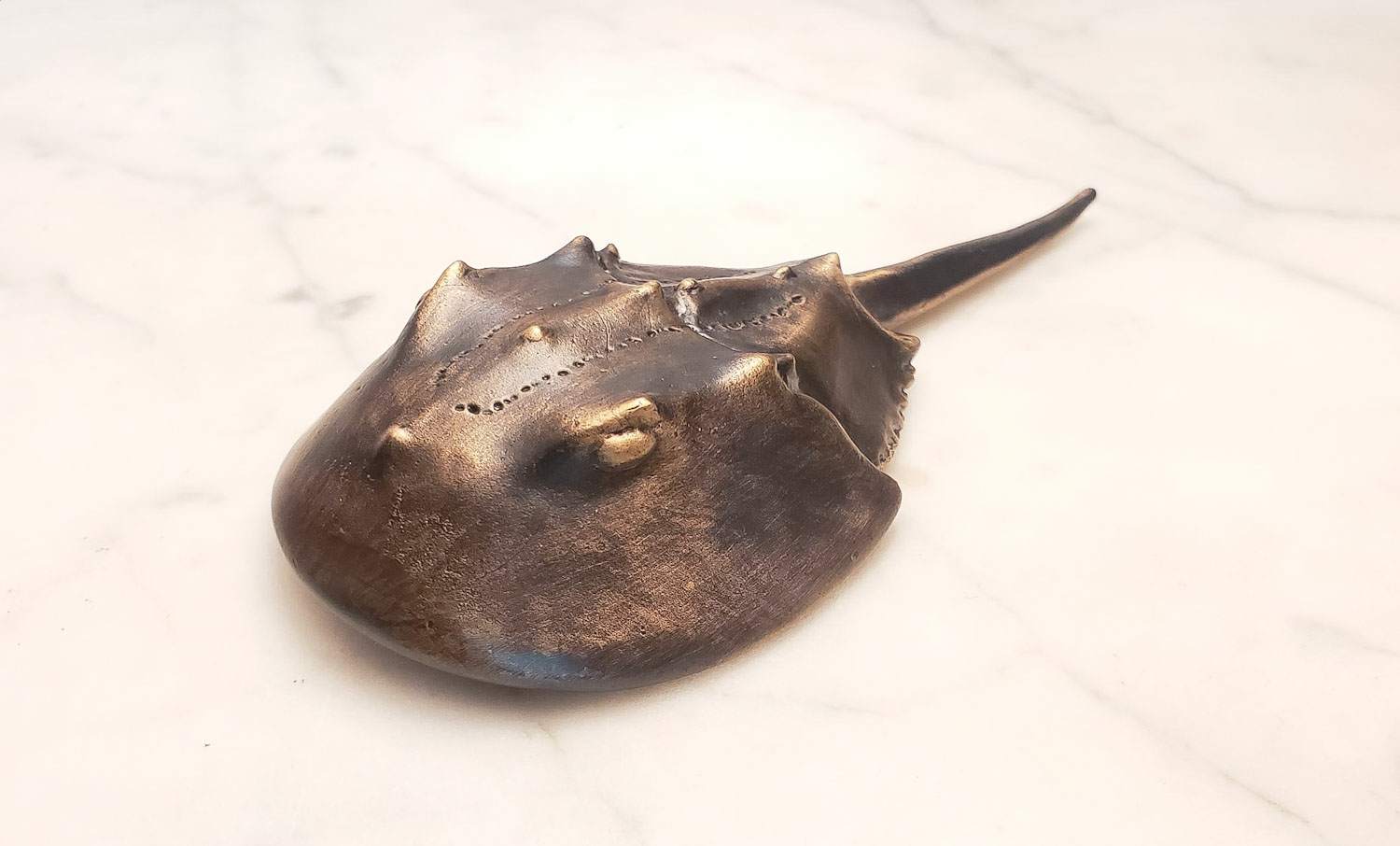 Horseshoe Crab Bottle Opener  Antique Bronze