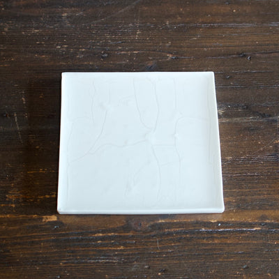 Glass/ Porcelain Plate by Yoko Tanaka #NN239