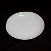 Shell Line Dinner Plate set of 6