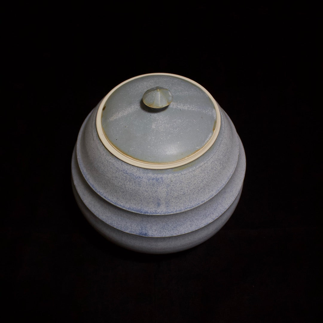 MIZUSASHI Fresh Water Jar #100