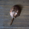 Horseshoe Crab Bottle Opener Dark Brown/ Yellow Back