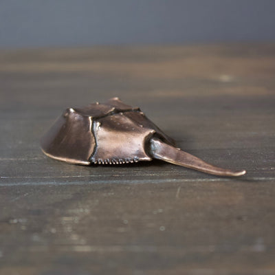 Horseshoe Crab Bottle Opener Dark Brown/ Yellow Back