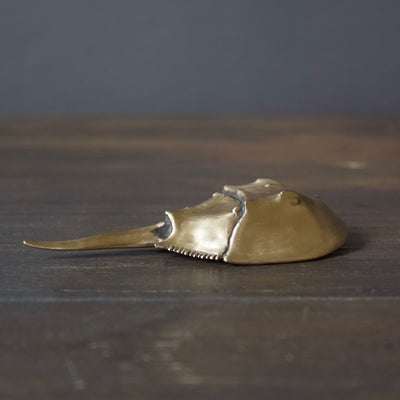 Horseshoe Crab Bottle Opener Brushed Yellow