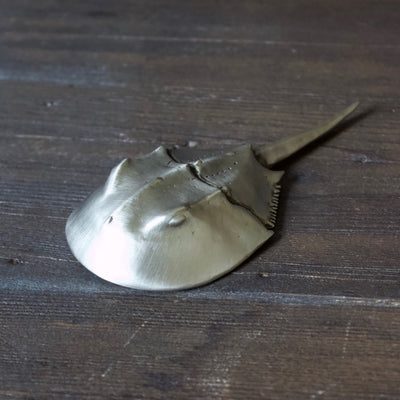 Horseshoe Crab Bottle Opener Brushed White