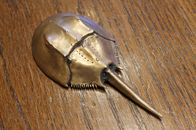 Horseshoe Crab Bottle Opener Brushed Yellow by Matt Hall